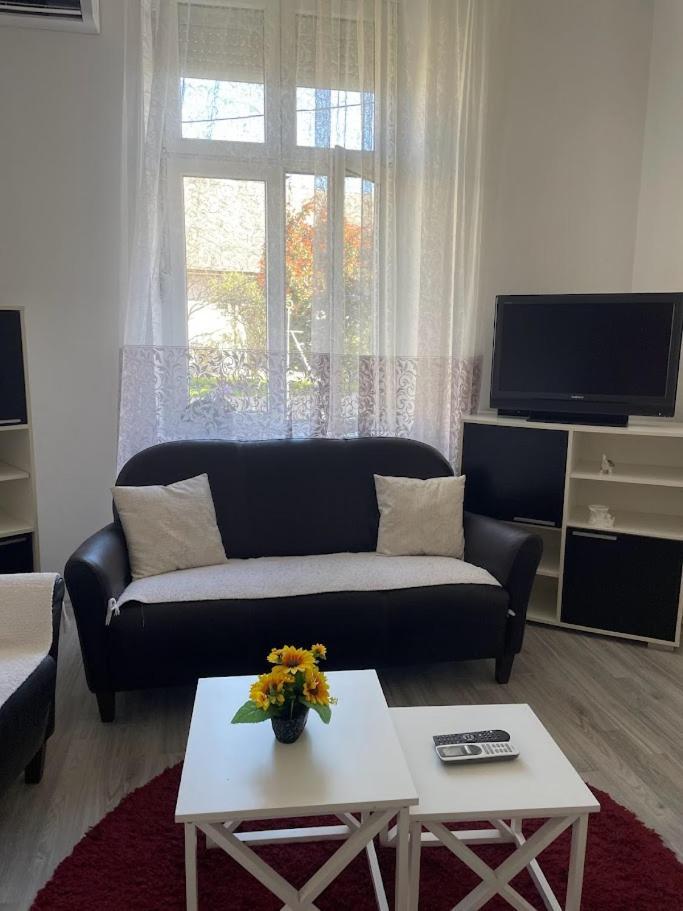 Apartment Milijana Subotica Exterior photo
