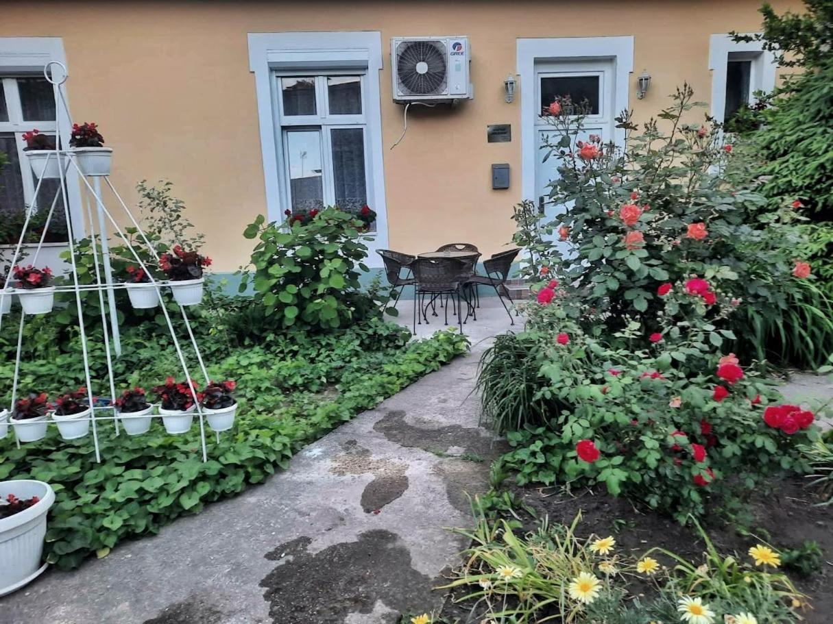 Apartment Milijana Subotica Exterior photo